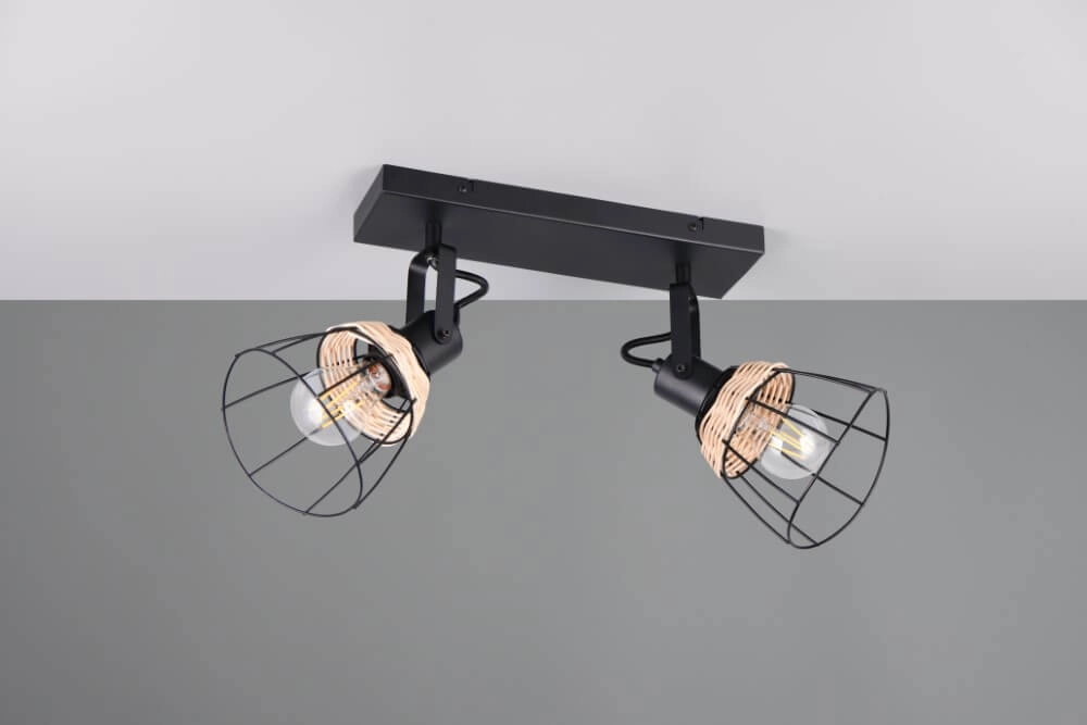 Black ceiling lamp Jerome Design 2-light Trio 4017807637700