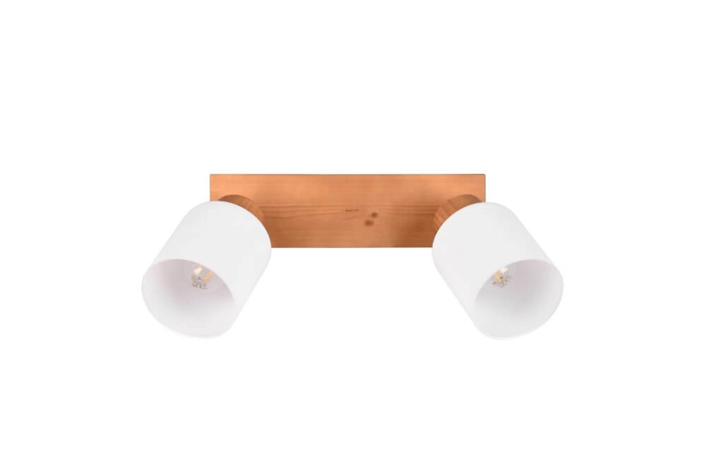 Rural ceiling spotlight Assam 2-light Trio 4017807539790