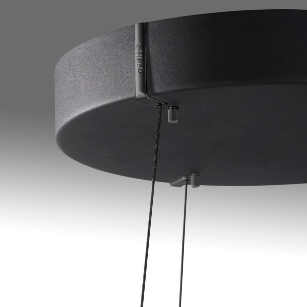 Sleek hanging lamp Pure E-Loop black Paul Neuhaus 4012248386224