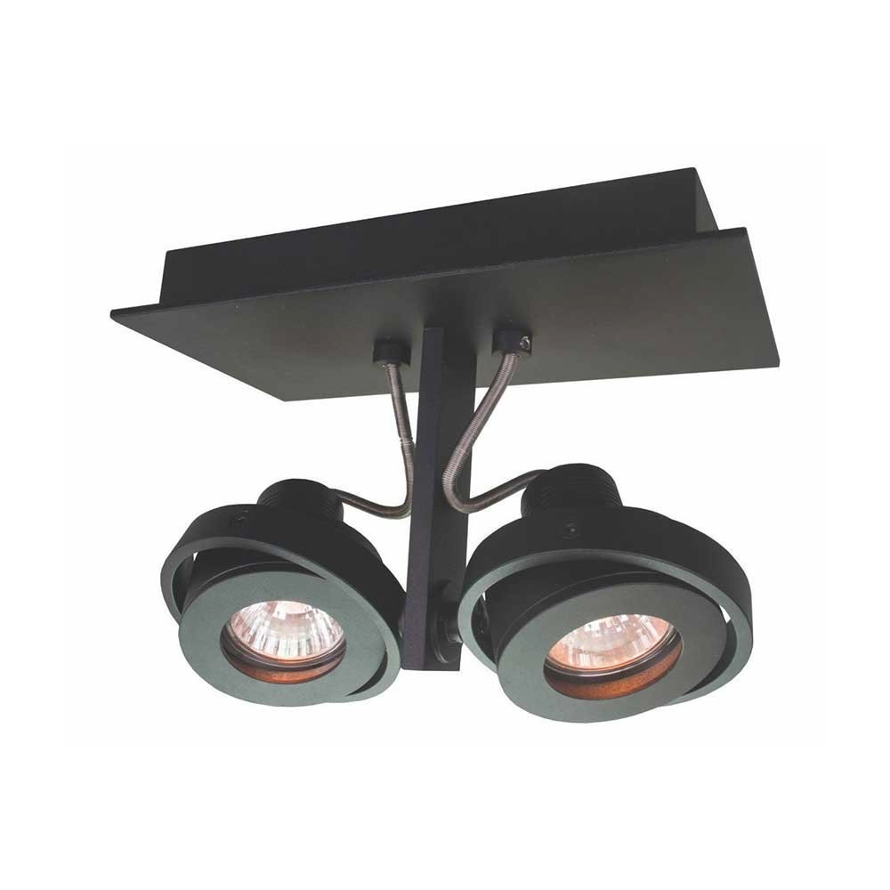 Black surface mounted spot Meist 2 lights