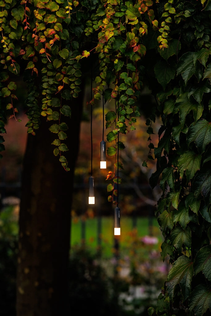 12 volt hanging lights Rodas set of 3 Lightpro 8719979284152