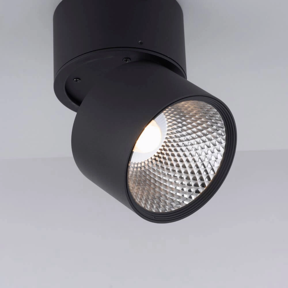 Surface-mounted spotlight Pure Nola black Paul Neuhaus 4012248371992