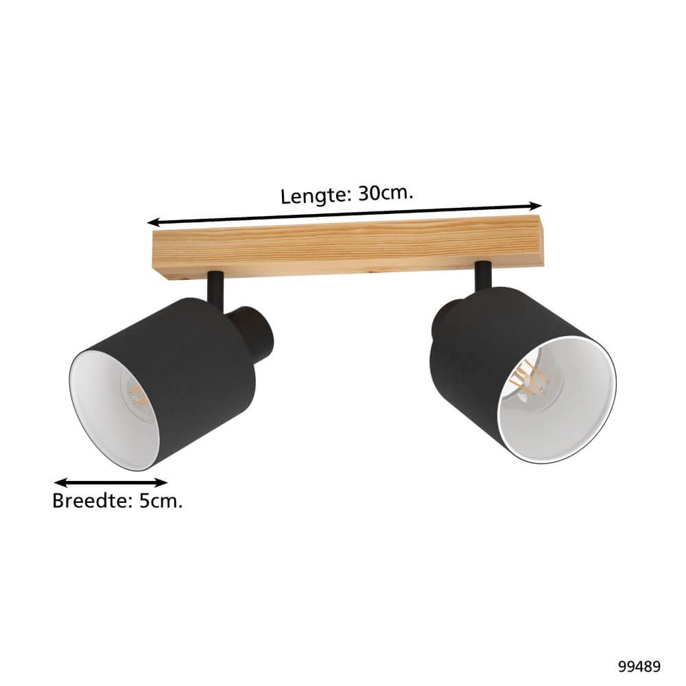 2-light ceiling lamp Batallas Eglo 9002759994891