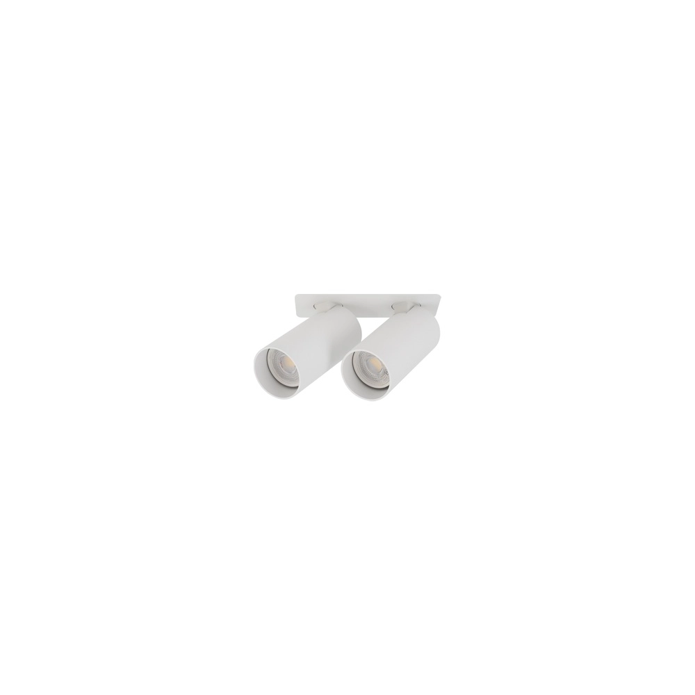 Double recessed spotlight Fourty Orientable - White
