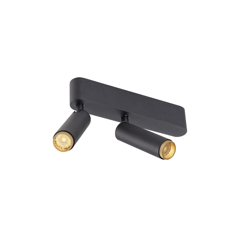 Surface-mounted spot Grip! S 2-light black 2700K