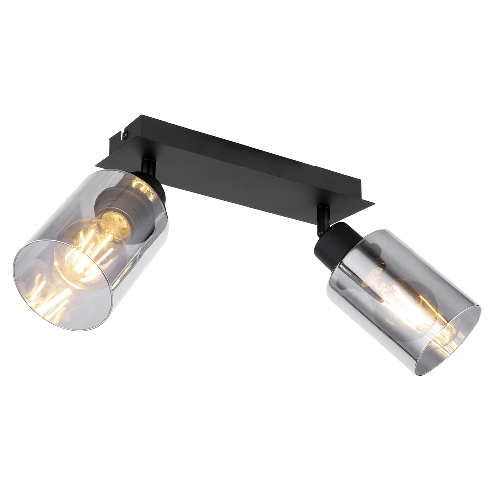 Ceiling lamp Hadera 2-light black with smoke glass