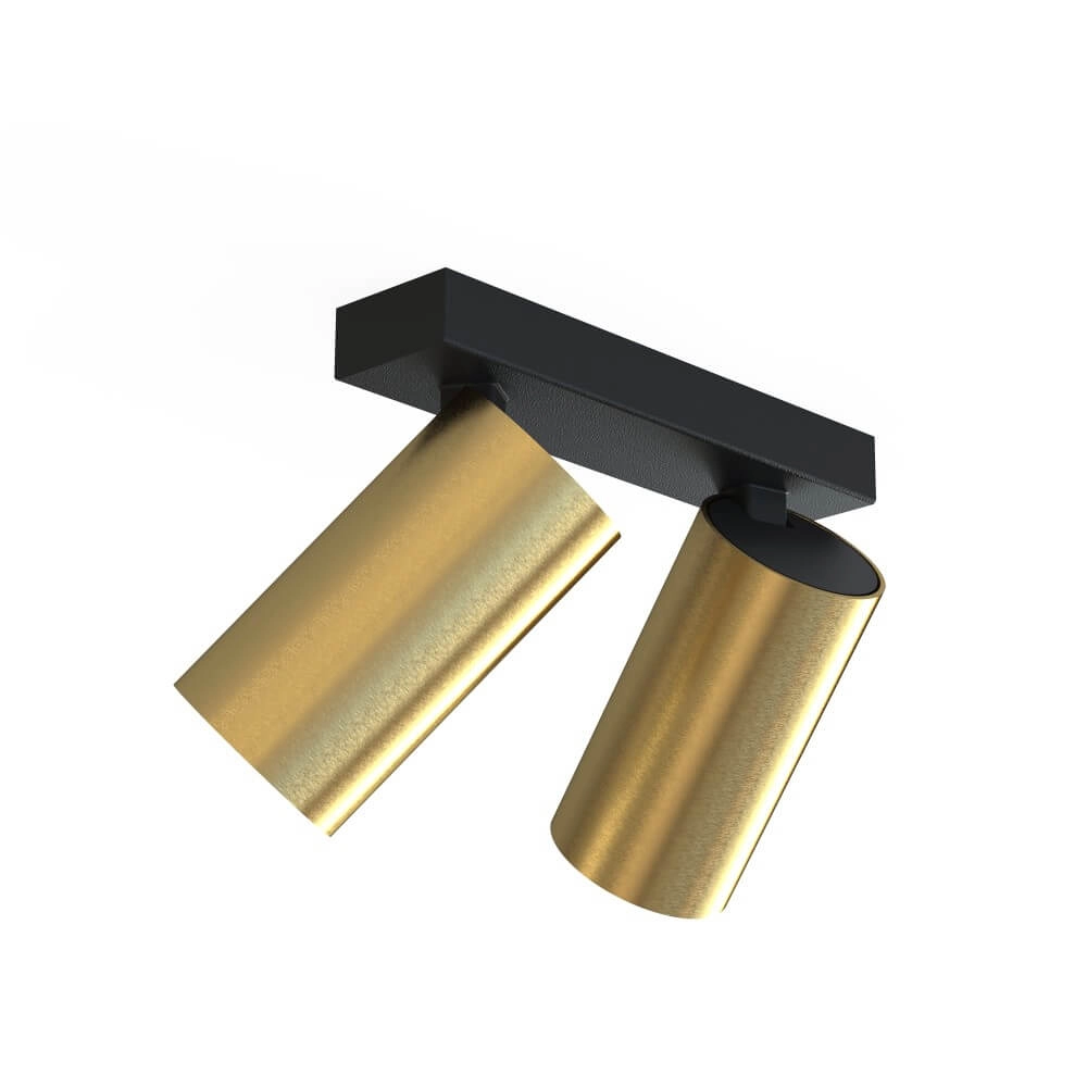 Gold surface-mounted spotlight Mono 2-light tiltable Lyora 5903139778299