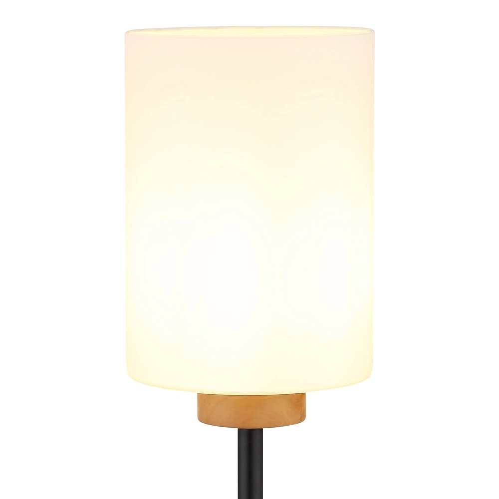 Floor lamp Rowena Black Globo 9007371580996