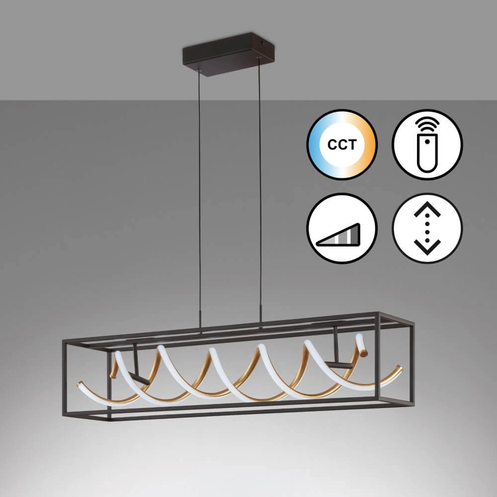 Design hanging lamp Gian black led Fischer & Honsel 4003694610469