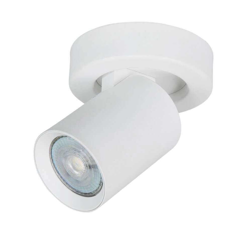 Surface-mounted spotlight Oliver 1-light matt white