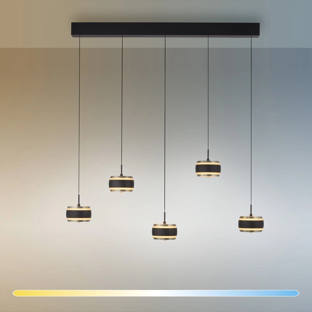 5L dining table pendant lamp Pure Falling Rings black pearl Paul Neuhaus 4012248396575