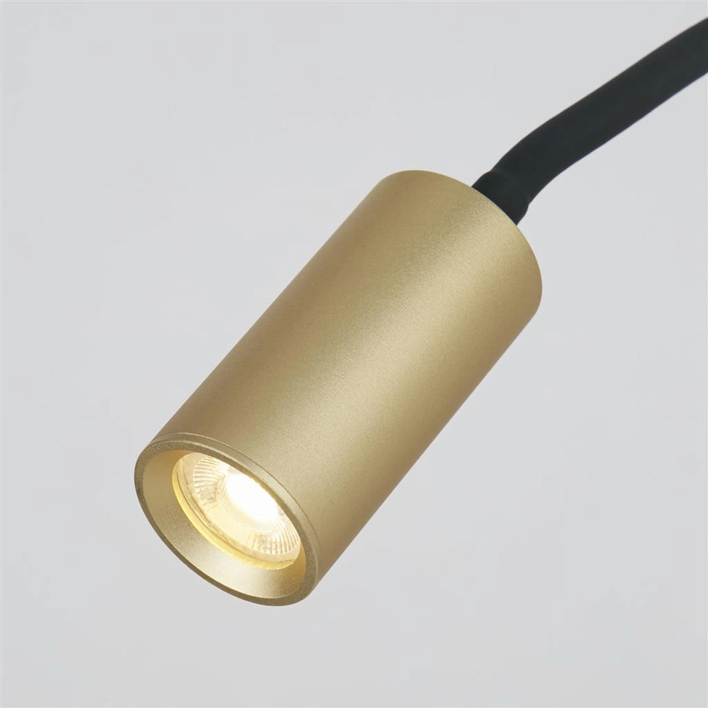 Table lamp Ciara Gold Lyora 5053423294124