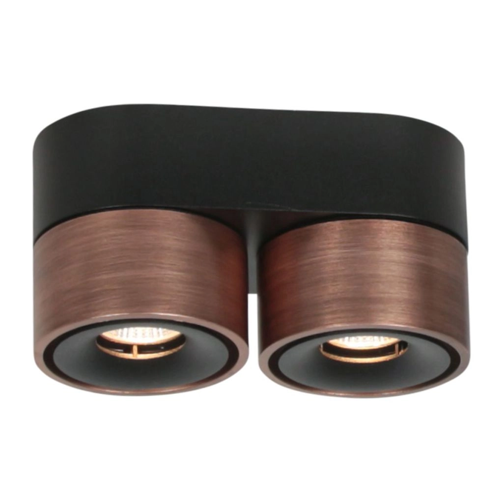 Sleek surface-mounted spot Fez Double bronze Steinhauer 8712746187250