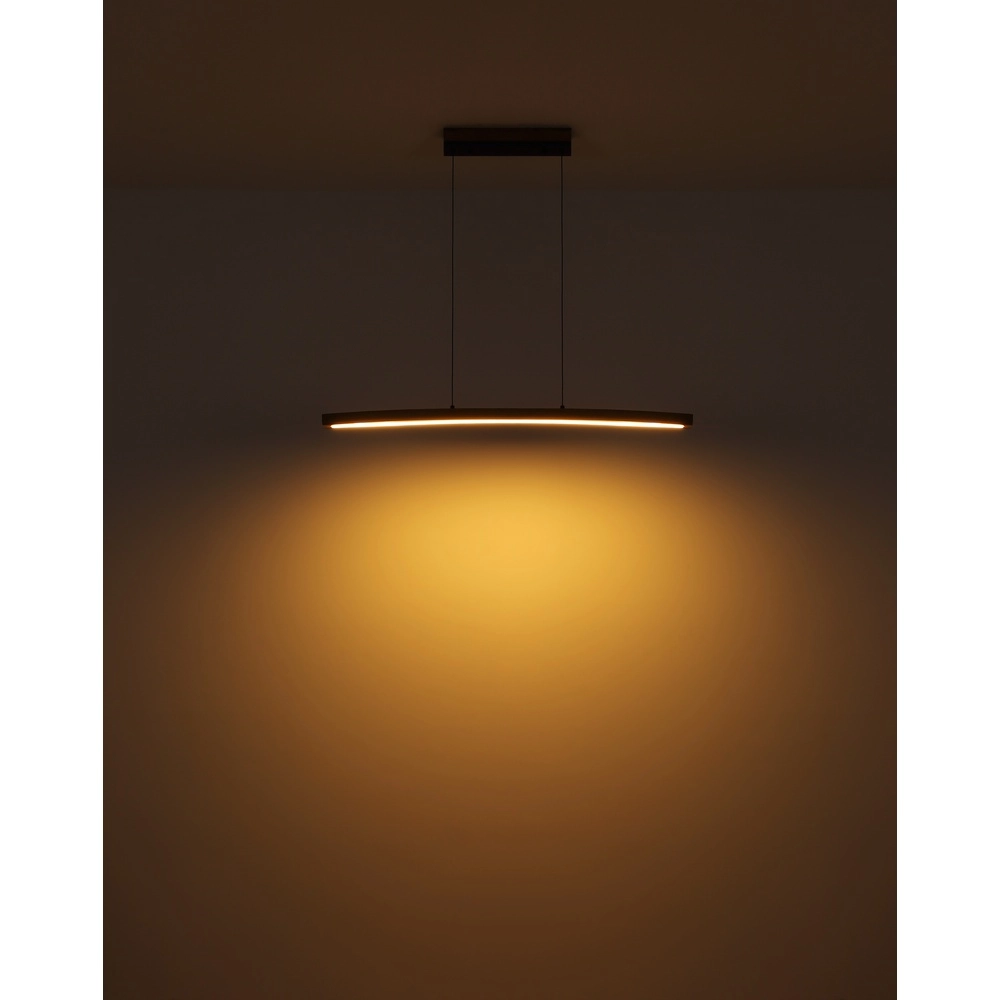 Design pendant lamp Doro Graphite Globo 9007371434688