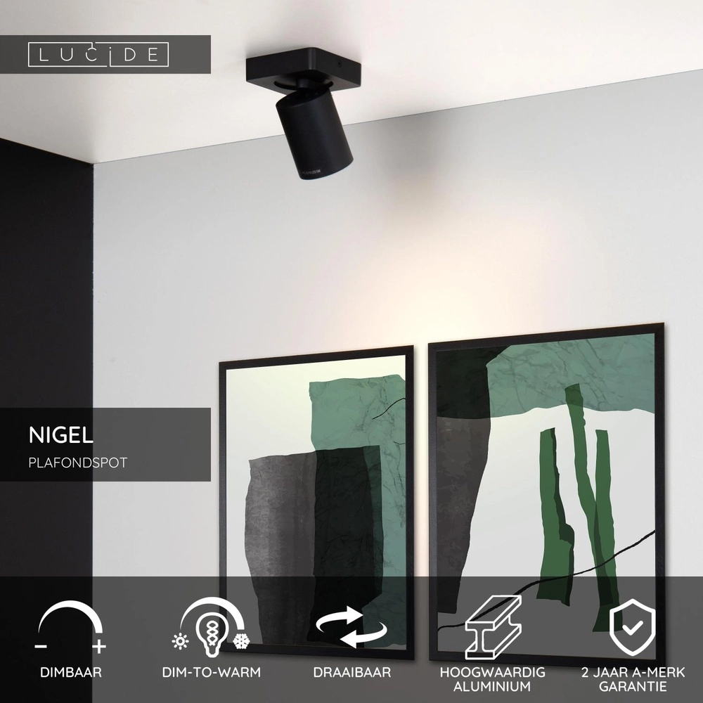 Ceiling spotlight Nigel Black Lucide 5411212092533