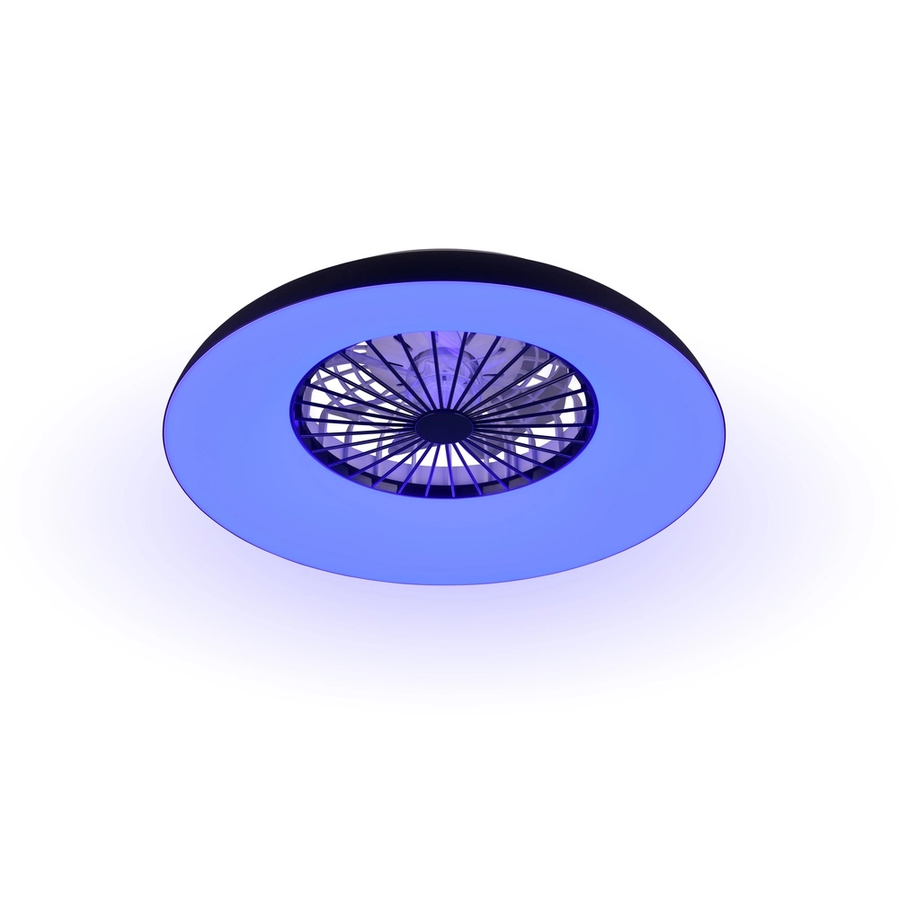 Design fan Svaerholt black Ø 60cm with RGB function Trio 4017807688795