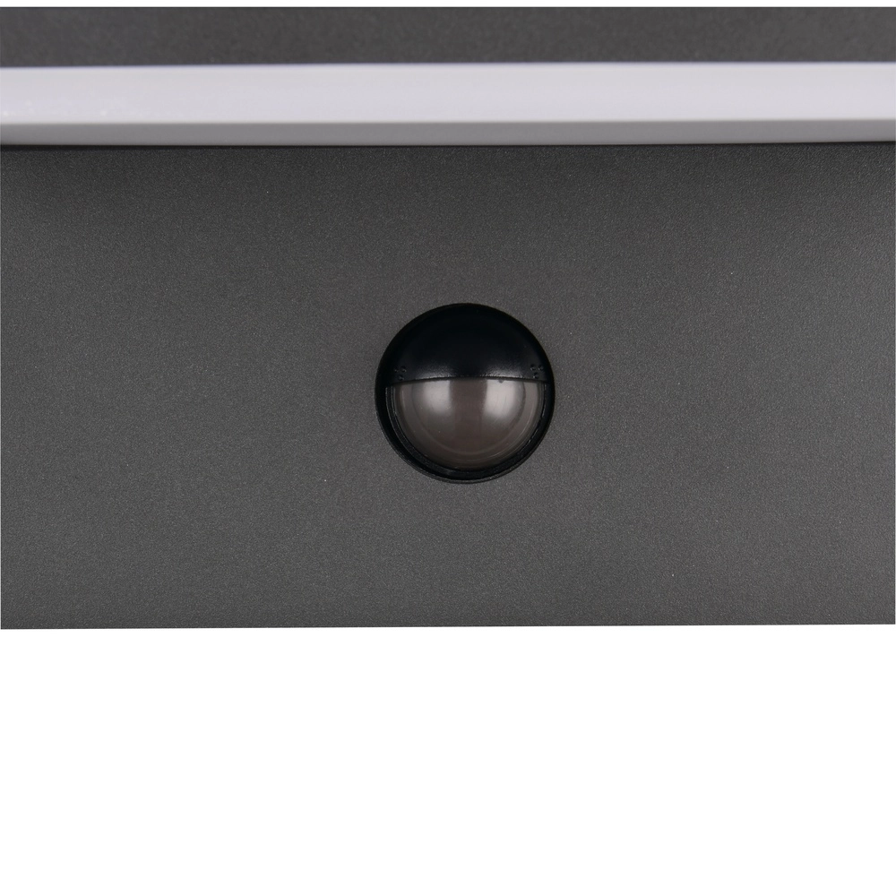 Modern wall lamp Ravi anthracite with sensor Trio 4017807686890