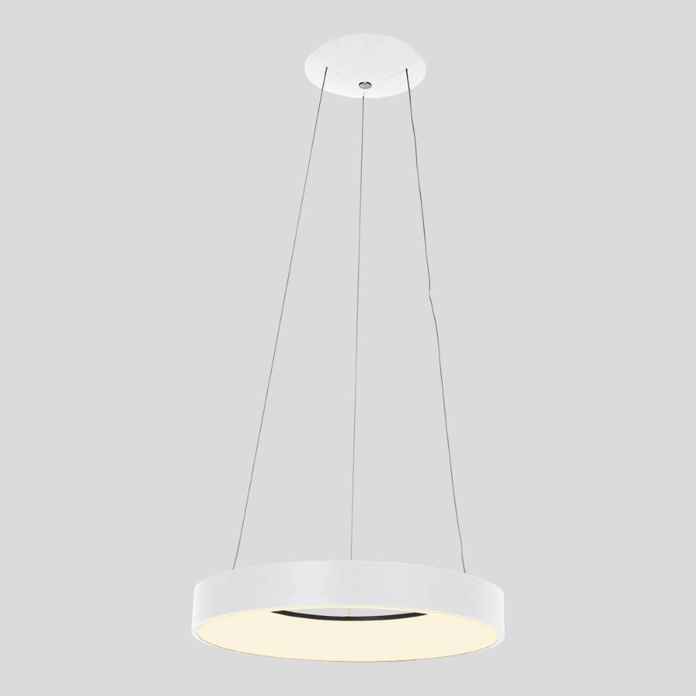 LED hanging lamp Ringlede Ø 48cm Steinhauer 8712746132854