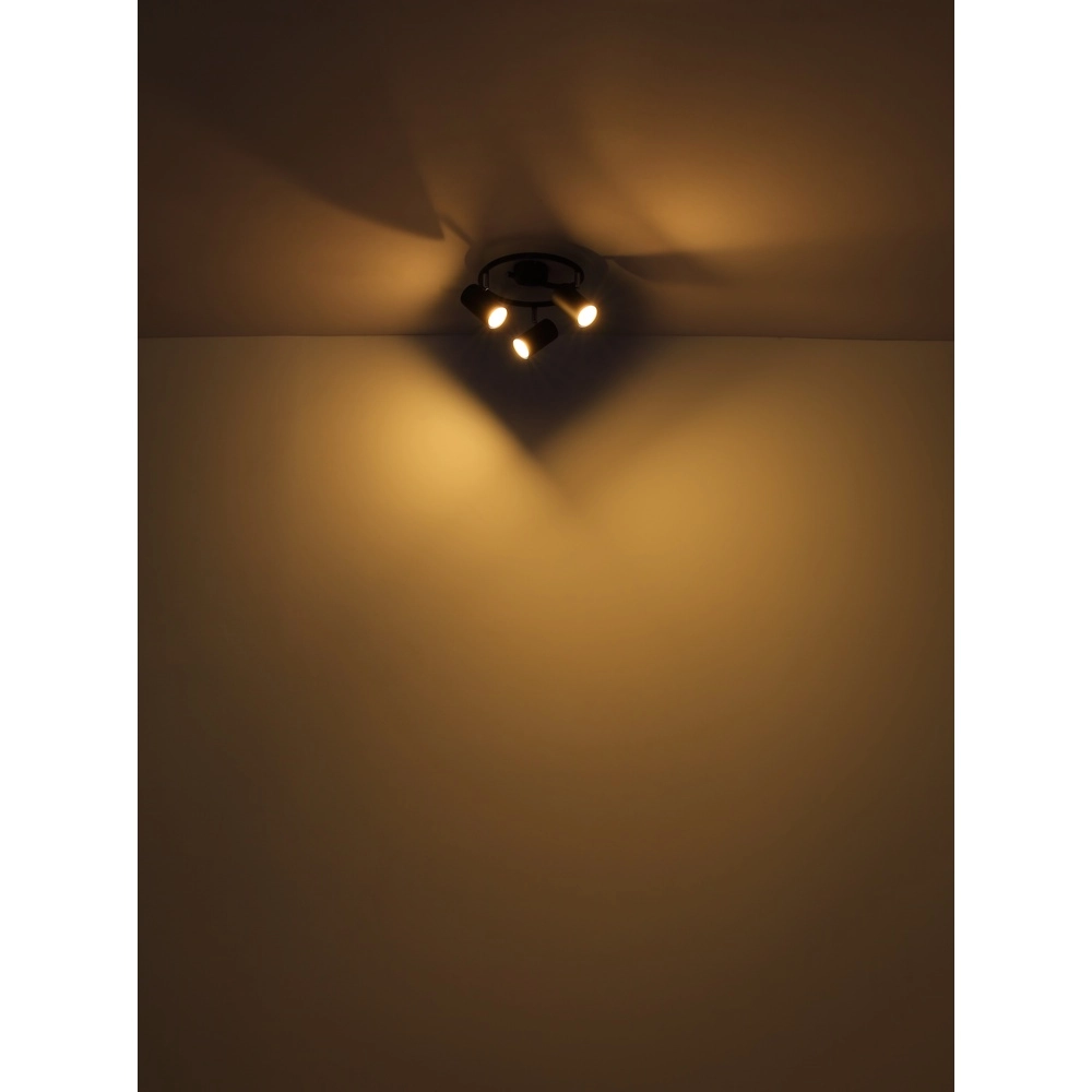 4-light ceiling lamp Allvi Black Globo 9007371451760