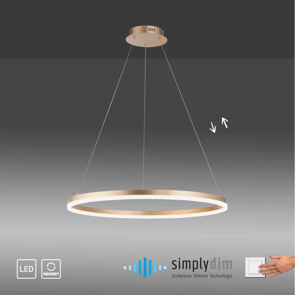 Modern pendant lamp Titus Ø 80cm antique brass Paul Neuhaus 4012248362877