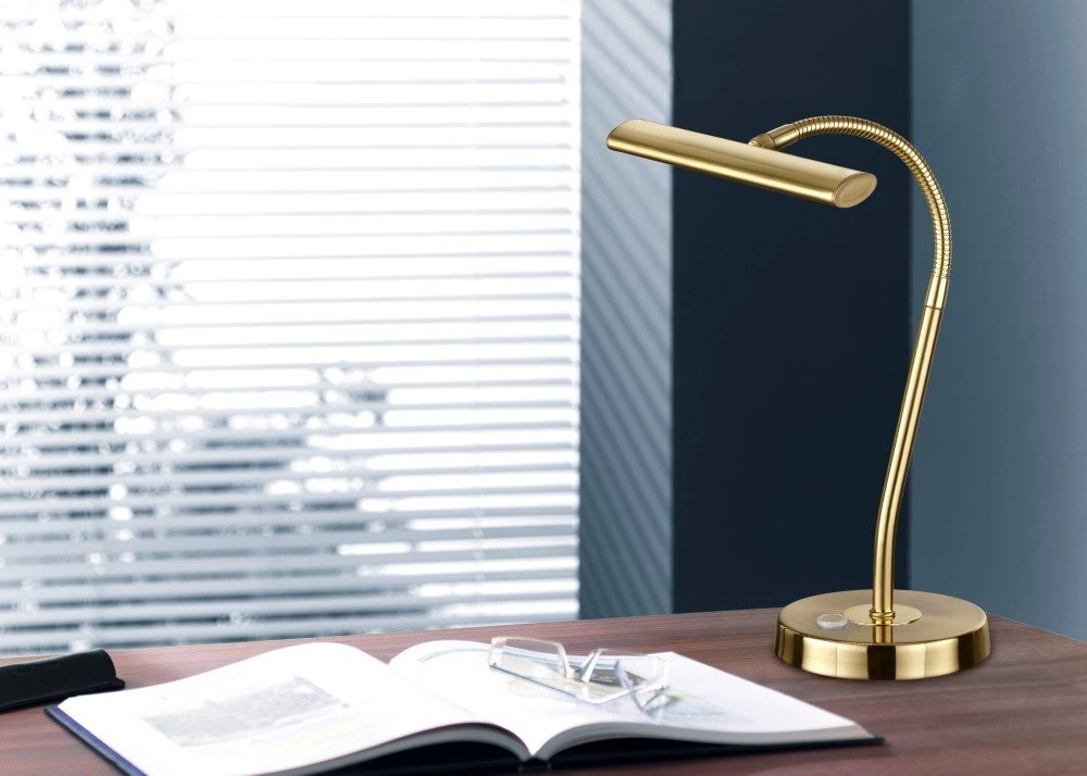 LED reading light Curtis brass matt Trio 4017807275339