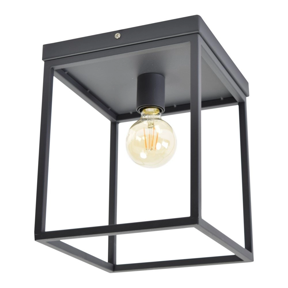Ceiling light Frame
