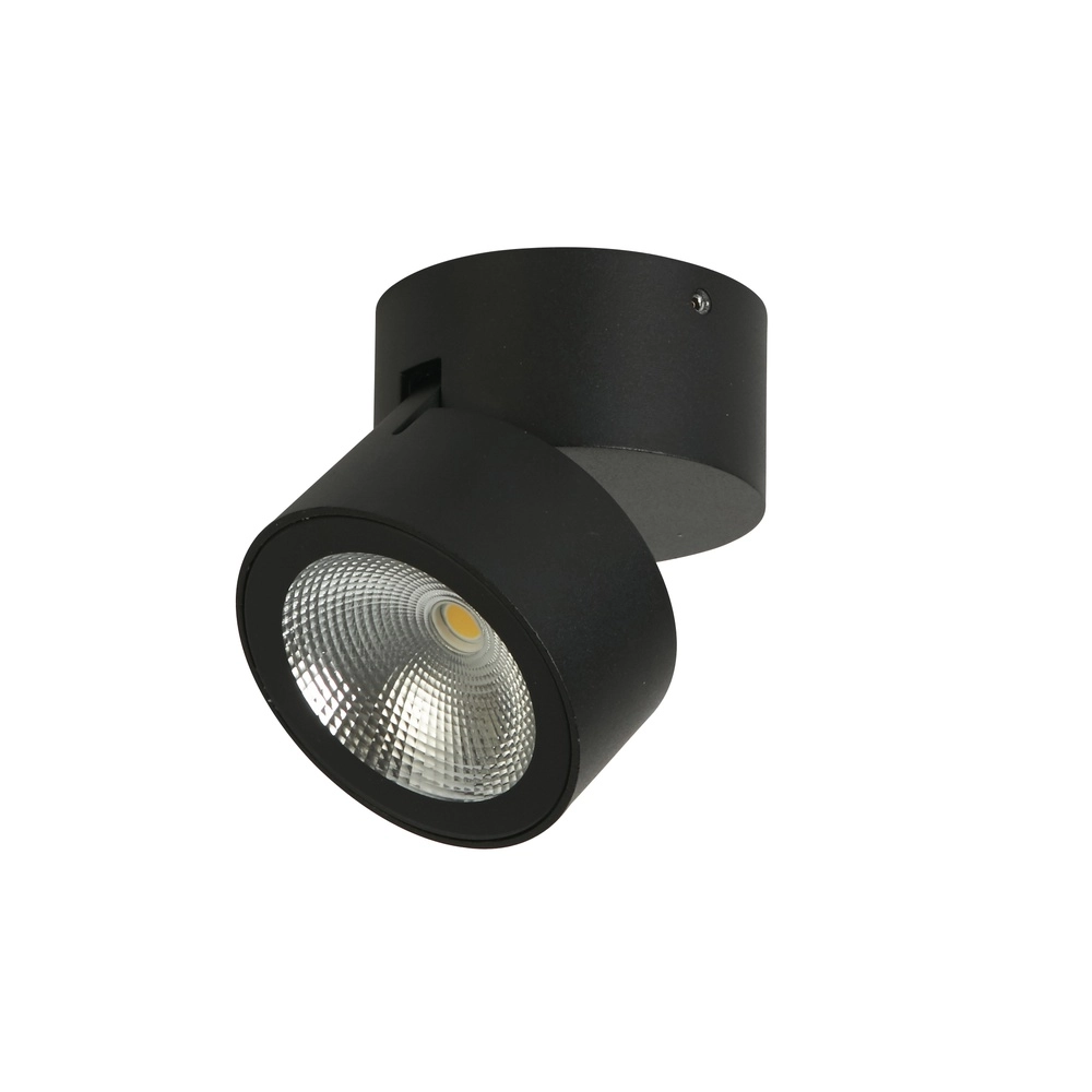 Ceiling lamp Manhattan black Searchlight 5053423297903