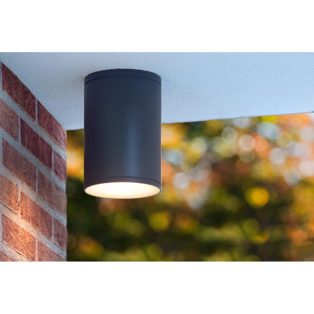 Ceiling spotlight Tubix IP54 black