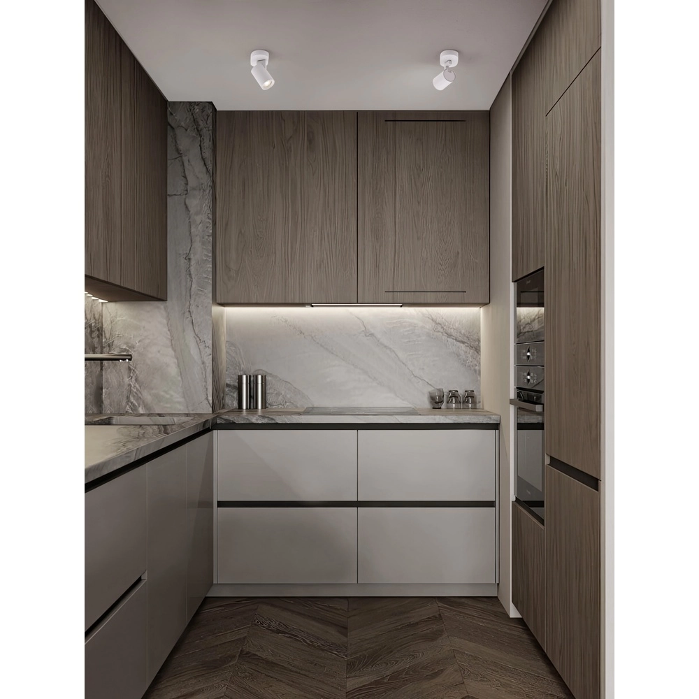 Ceiling spotlight Esto only white Lyora 5212017453402