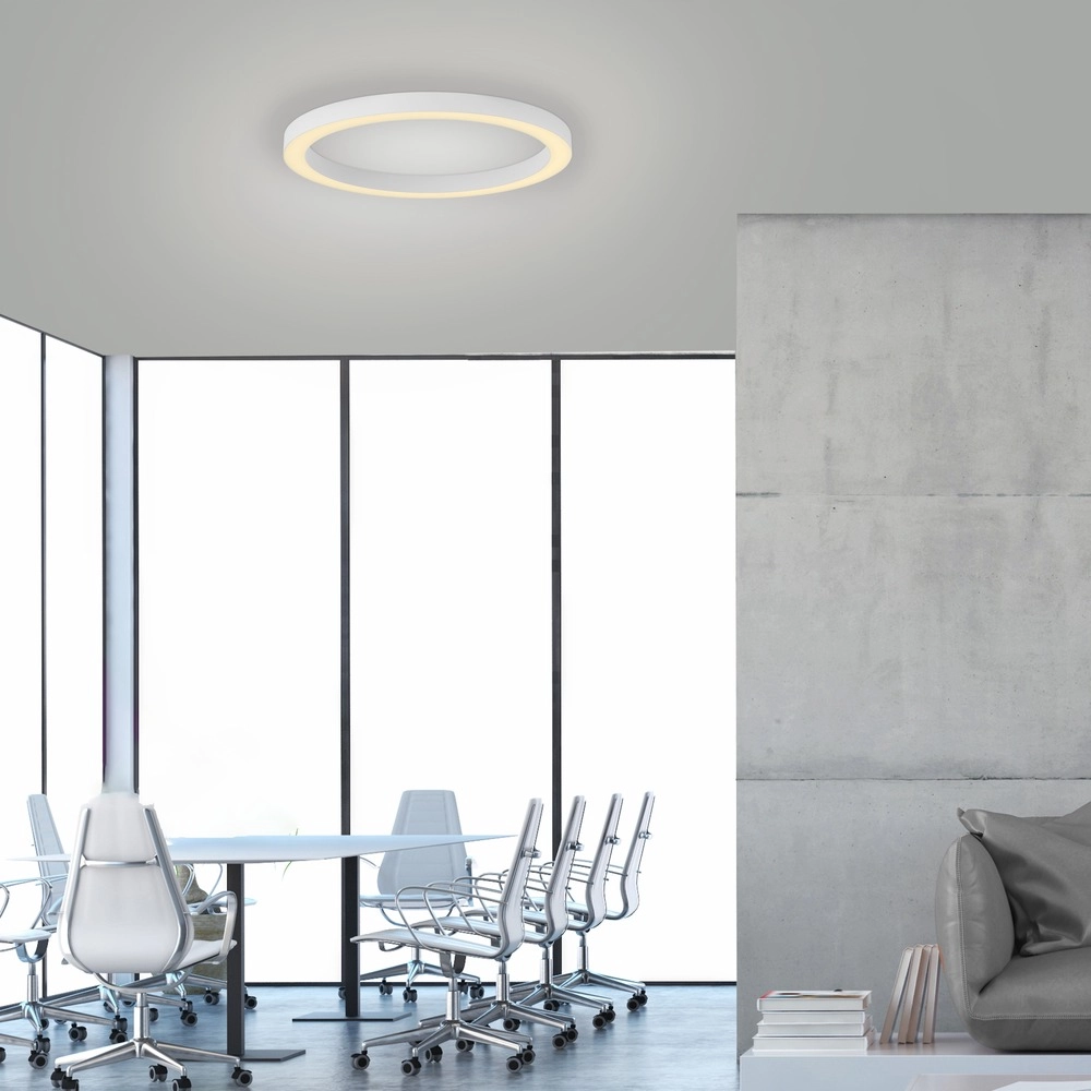 Sleek led ceiling lamp Pure Lines Round Ø 50cm - white Paul Neuhaus 4012248395806