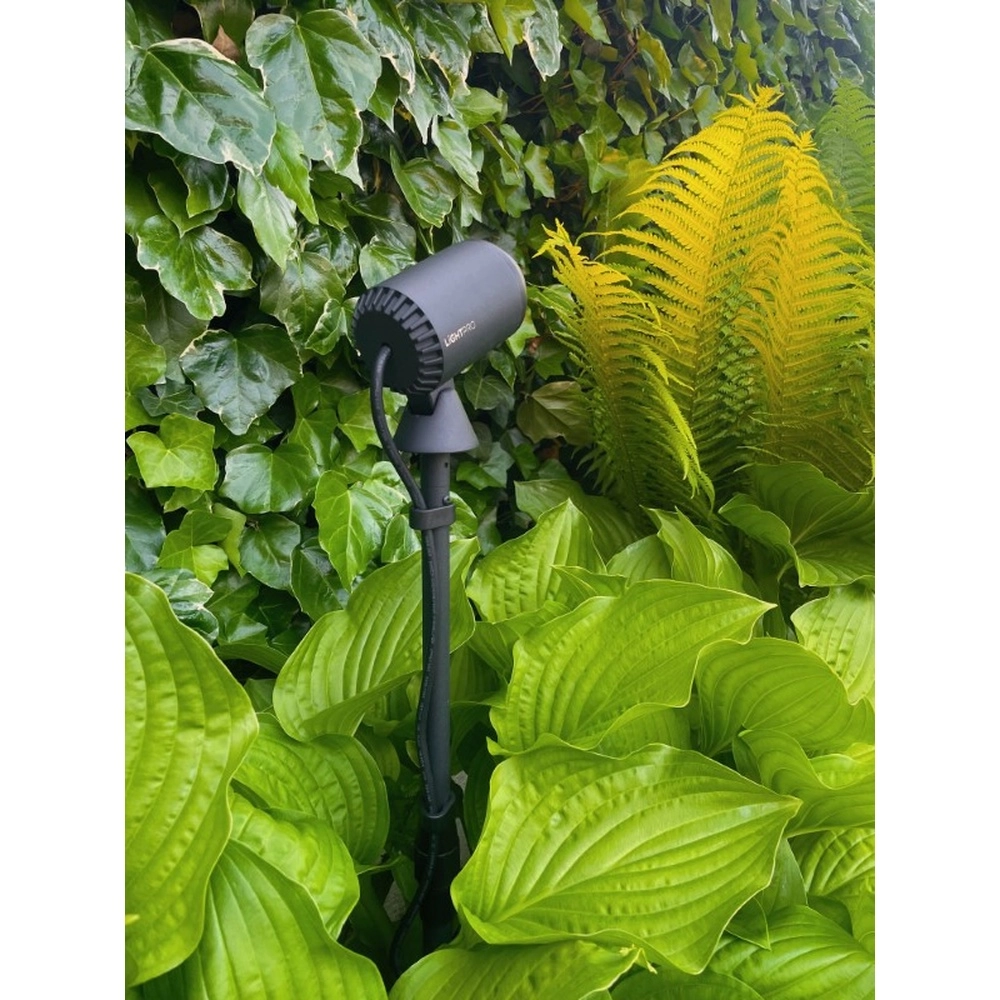 Black Multispike 40 to 60cm Lightpro 8719979284459