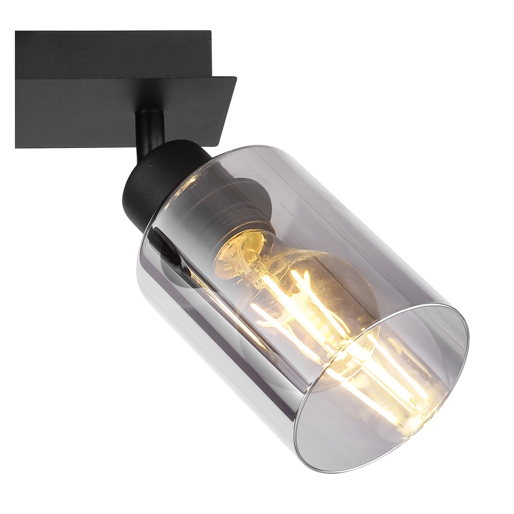 Ceiling lamp Hadera 2-light black with smoke glass Globo 9007371440214