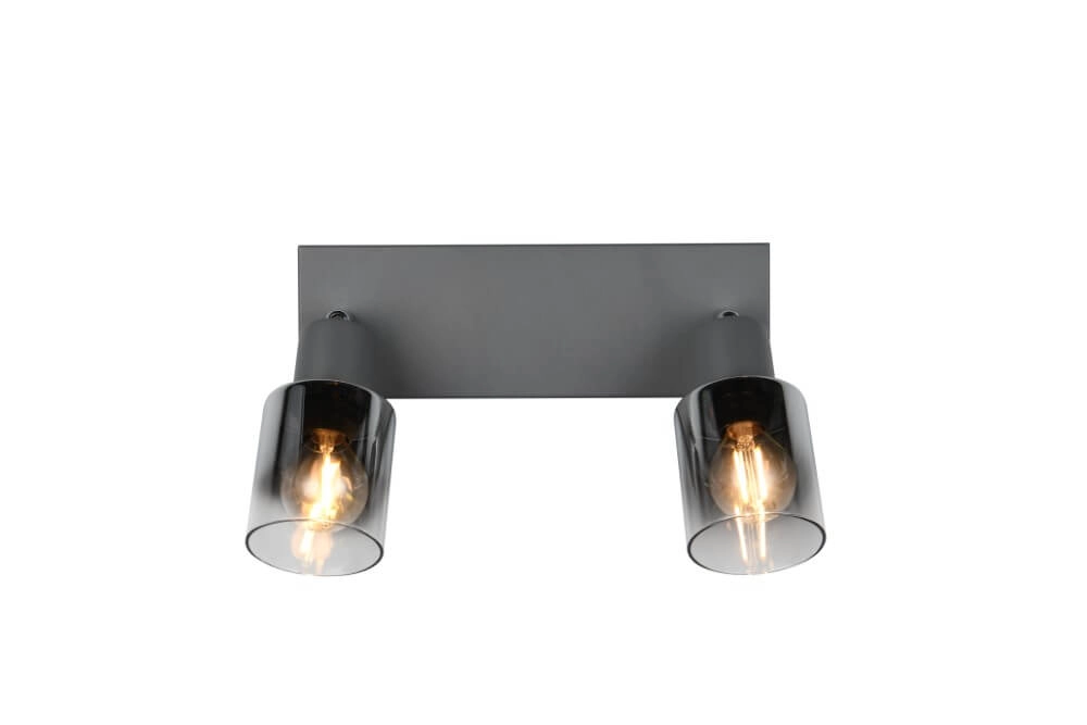 2-light ceiling lamp Cadiz black Trio 4017807615760