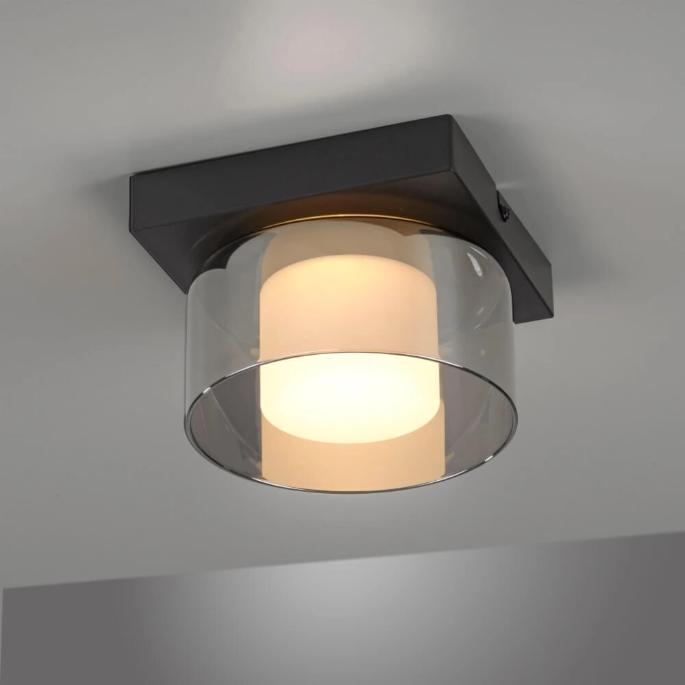 Black ceiling lamp Rika 1-light black Paul Neuhaus 4012248385012