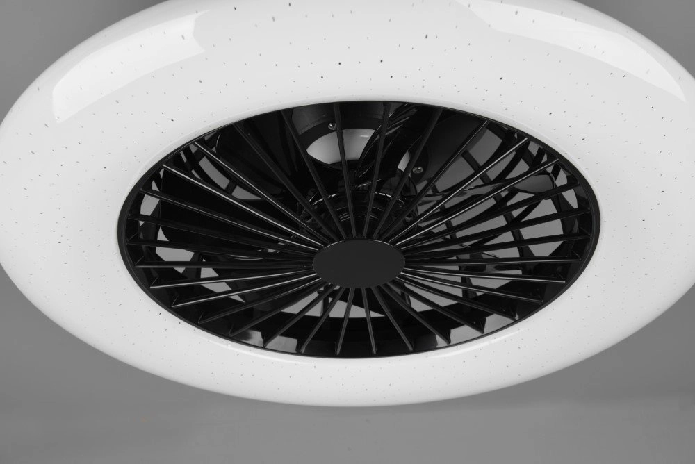 Black ceiling fan Stralsund Trio 4017807491098