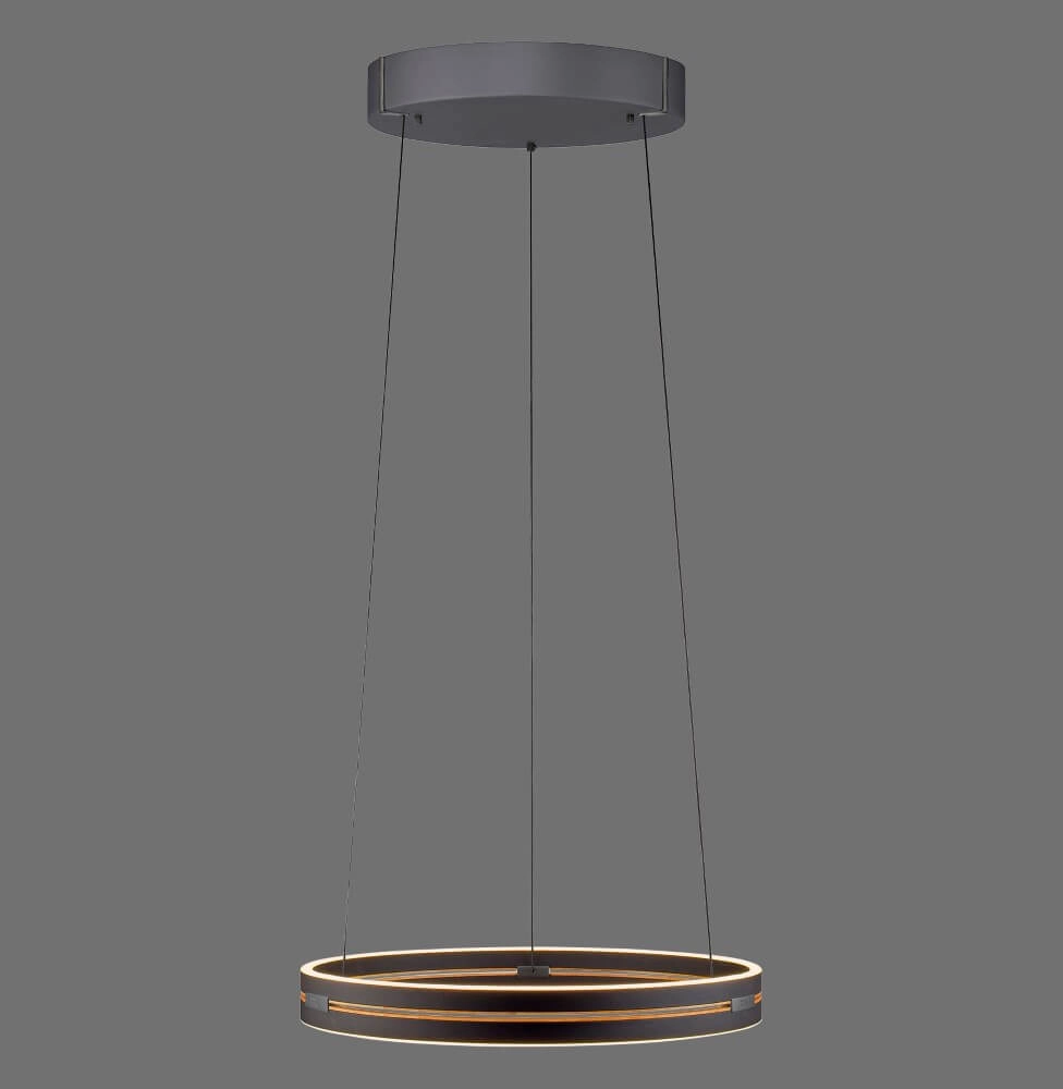 Sleek hanging lamp Pure E-Loop black Paul Neuhaus 4012248386224
