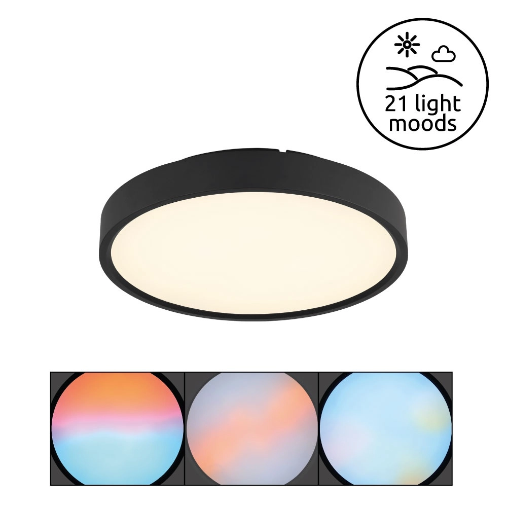 Ceiling light Jess Black Globo 9007371592470