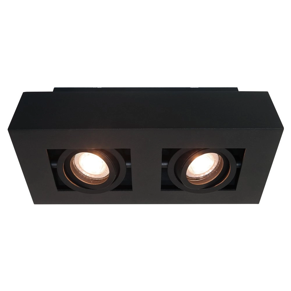 Ceiling spotlight Bosco 2 lights