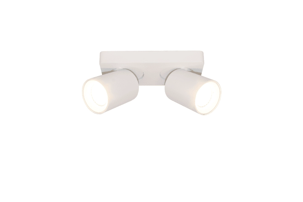 Double surface-mounted spot Megano