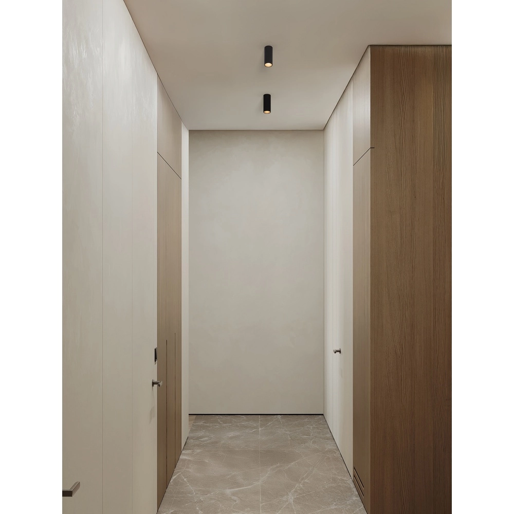 Ceiling spotlight Comet black Lyora 5212017475756