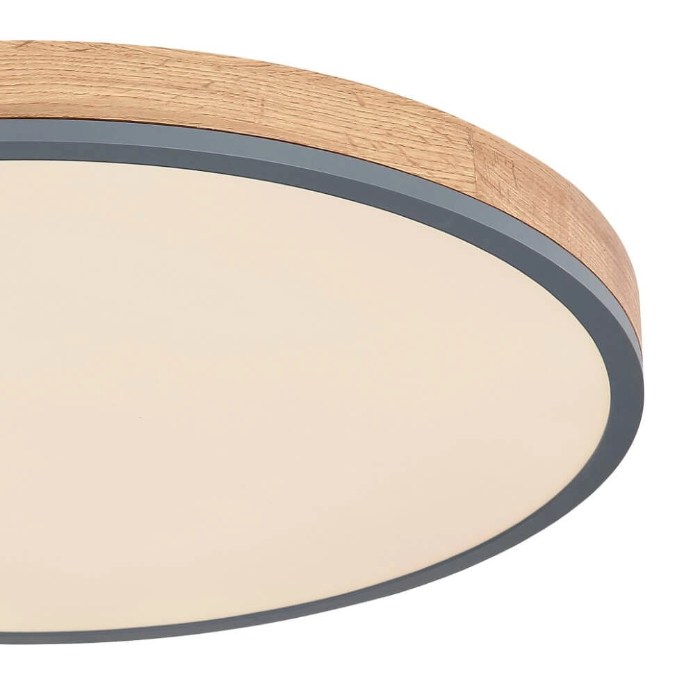 Dimmable led ceiling light Doro Ø 60cm Globo 9007371436569