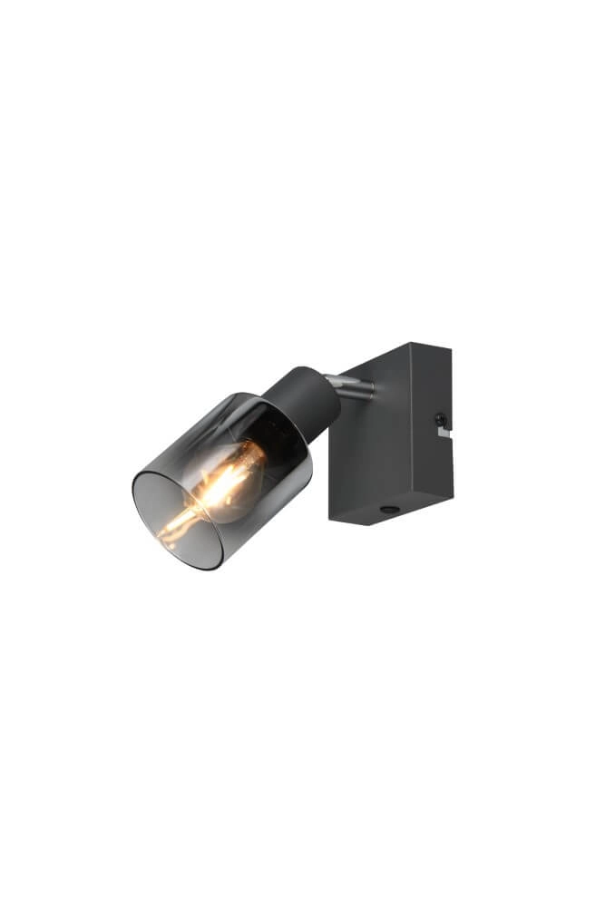 Black wall light Cadiz with smoke glass Trio 4017807615753