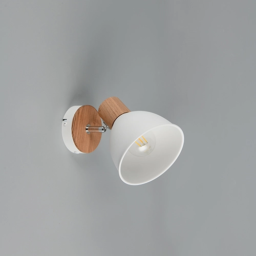 Ceiling lamp Delume only white Trio 4017807672213