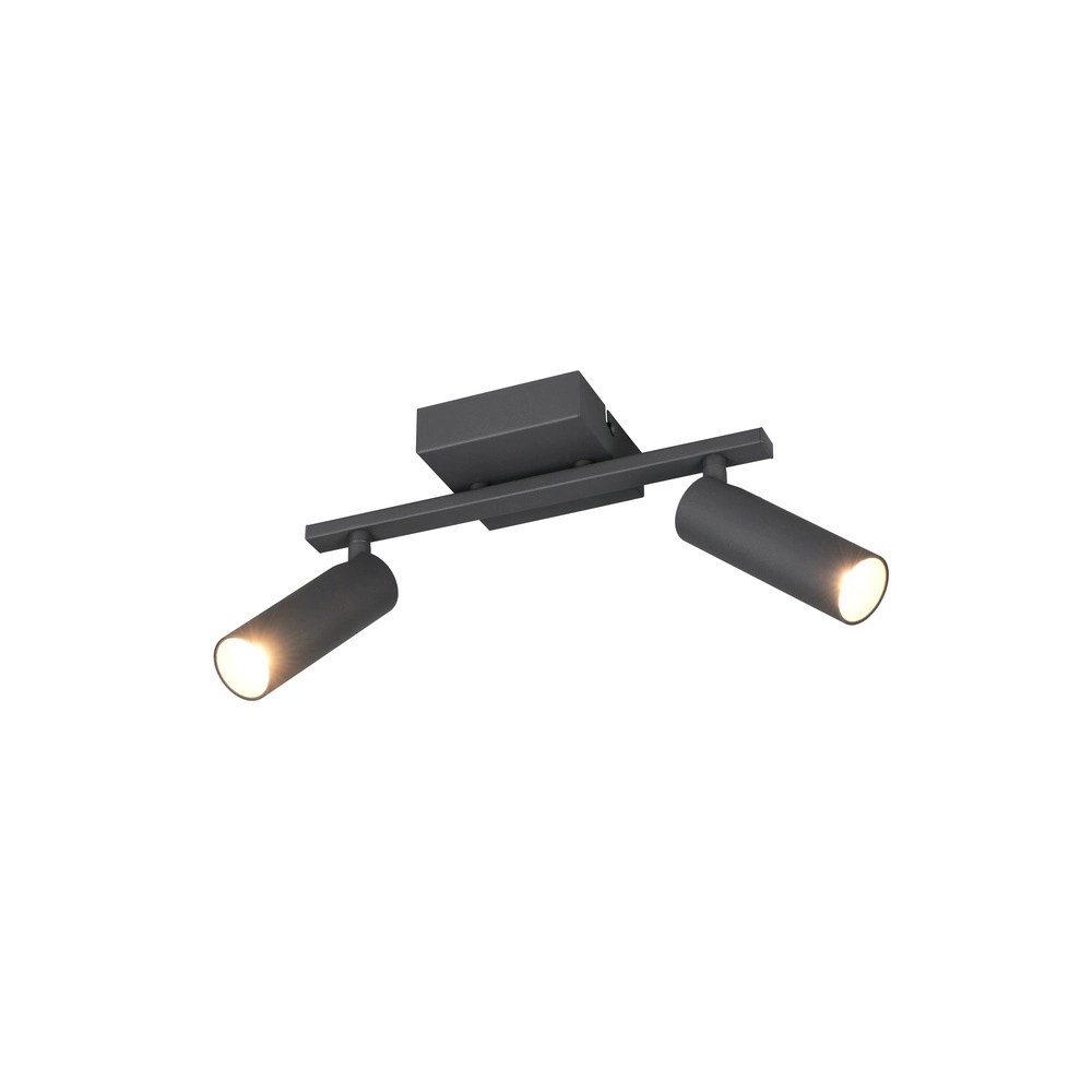 Surface-mounted spot Dara 2-light anthracite