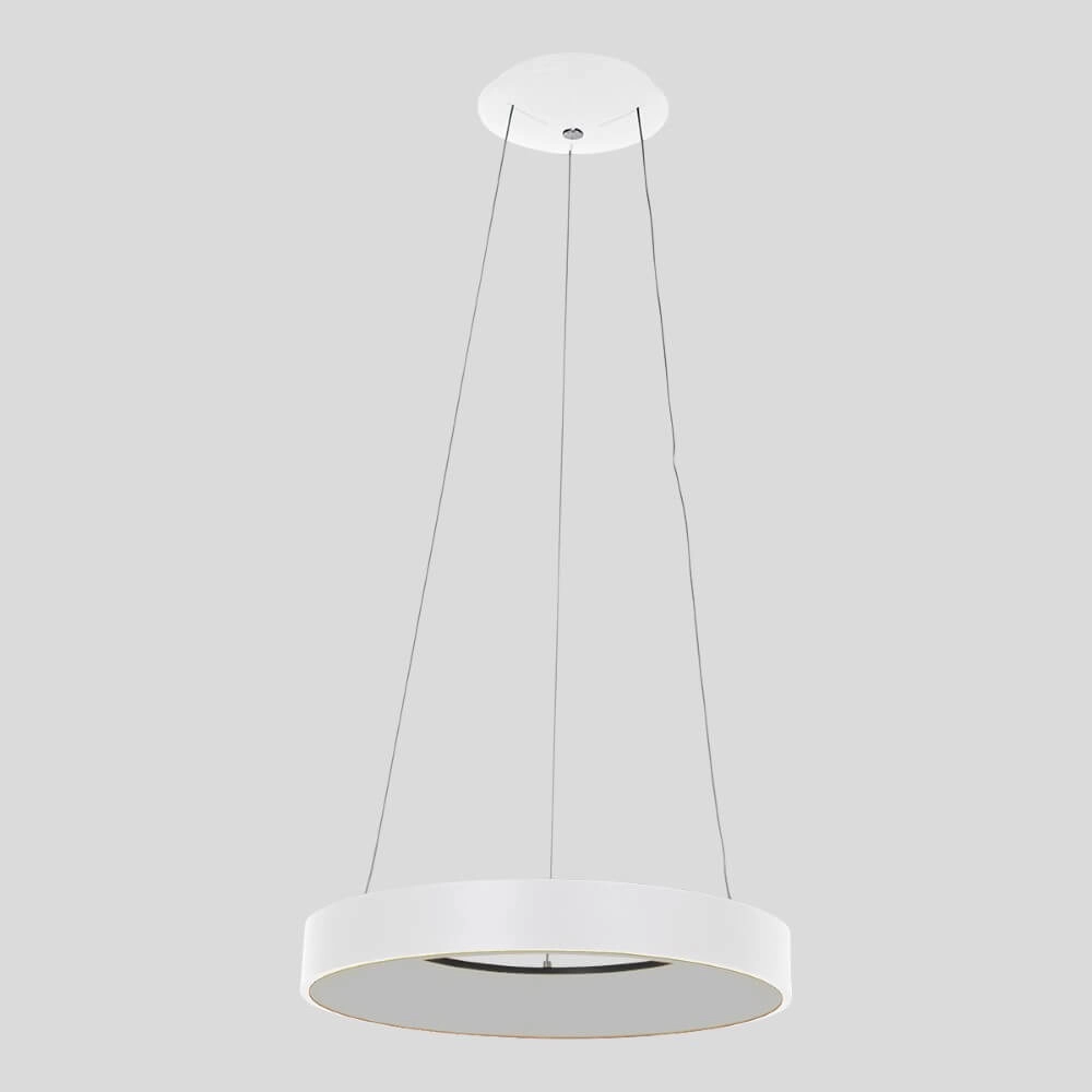 LED hanging lamp Ringlede Ø 48cm Steinhauer 8712746132854