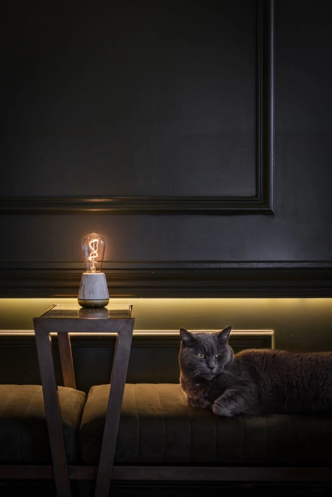 Rechargeable table lamp One White Marble Humble 7446023294270