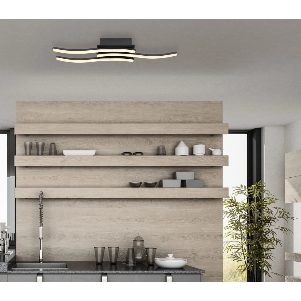 Design ceiling lamp Kasimir Black Globo 9007371418305