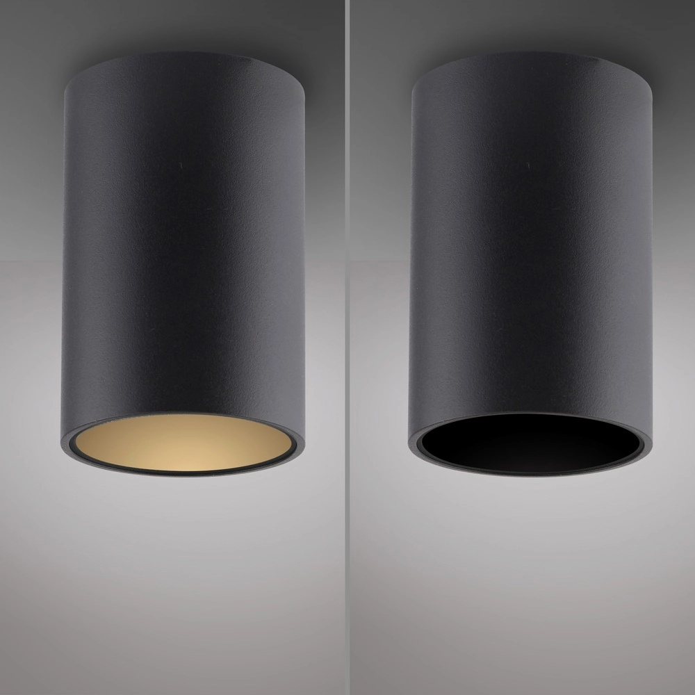 Ceiling surface-mounted spot Pure Point Ø 6cm - black pearl Paul Neuhaus 4012248395677