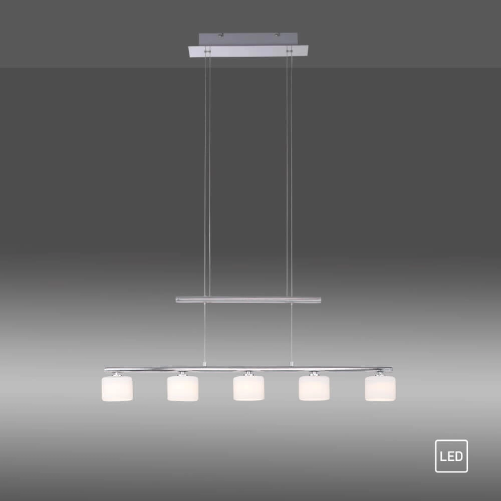 5-light pendant lamp Hydra metal Paul Neuhaus 4012248364963