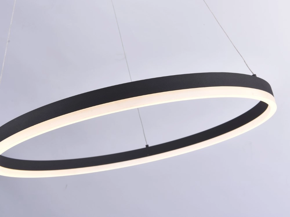 LED hanging lamp Titus Ø 60cm Paul Neuhaus 4012248305157